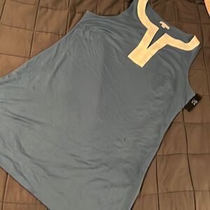 New York & Company Blue Sleeveless Shift Dress